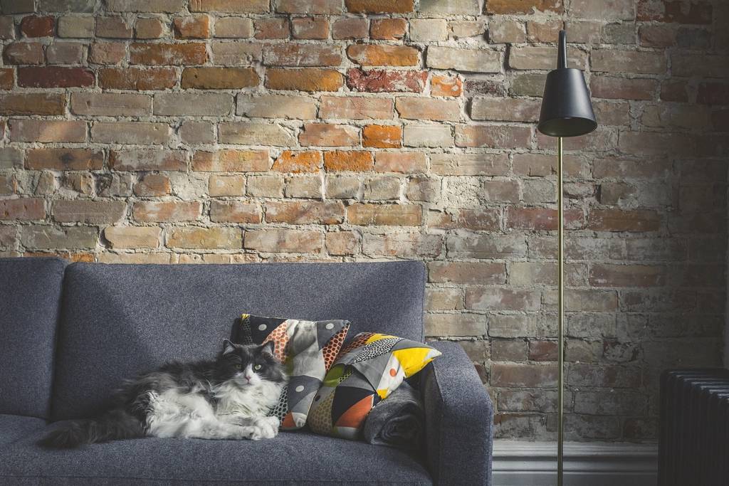 Advanced Stain, Odour, and Pet Urine Treatments