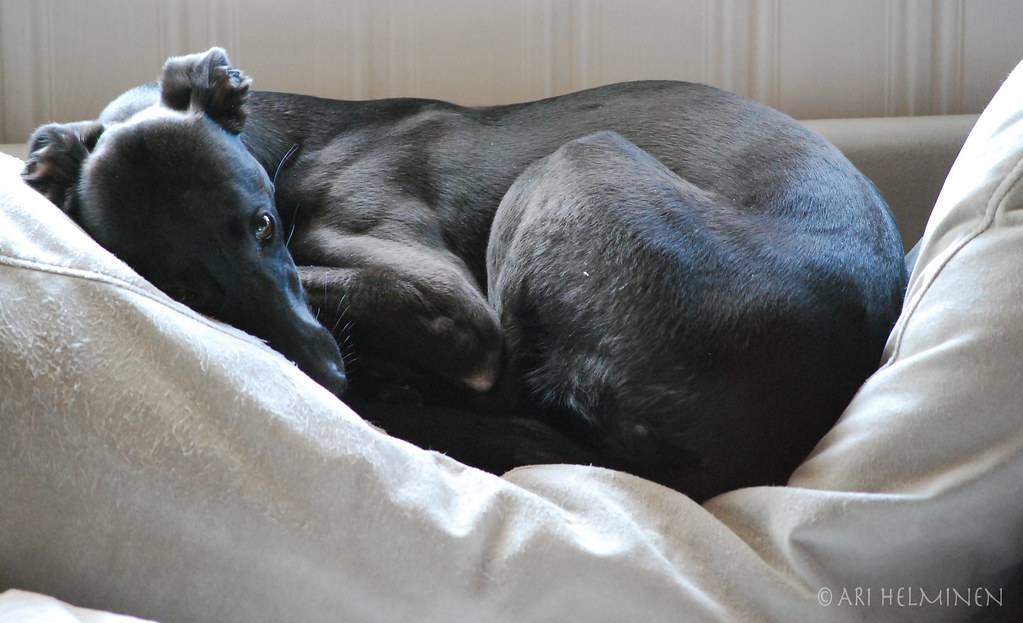 Sleeping beauty