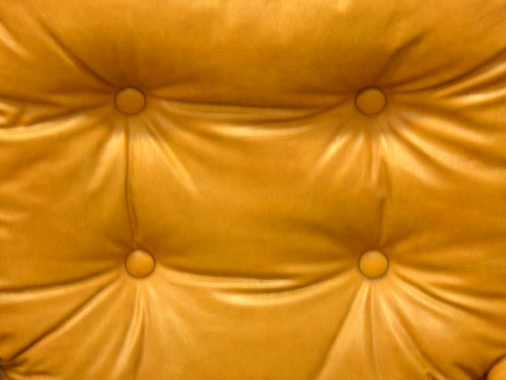 Leather Conditioning & Protection