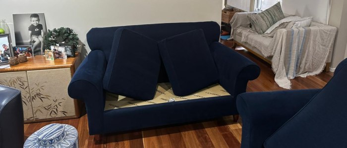 Professional Cleaning Service
